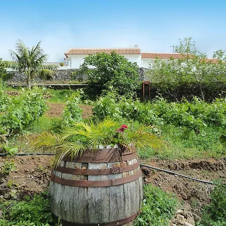 Finca Doma Tfn01030 Fyb Los Realejos